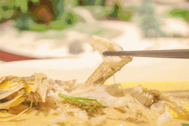 书藏古今港通天下,书藏古今港通天下央视