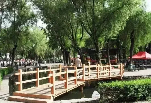 哈尔滨市内环境,哈尔滨一年四季的现状