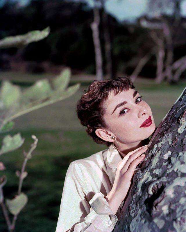 名媛厚本账号火的原因,网红厚本为什么是名媛