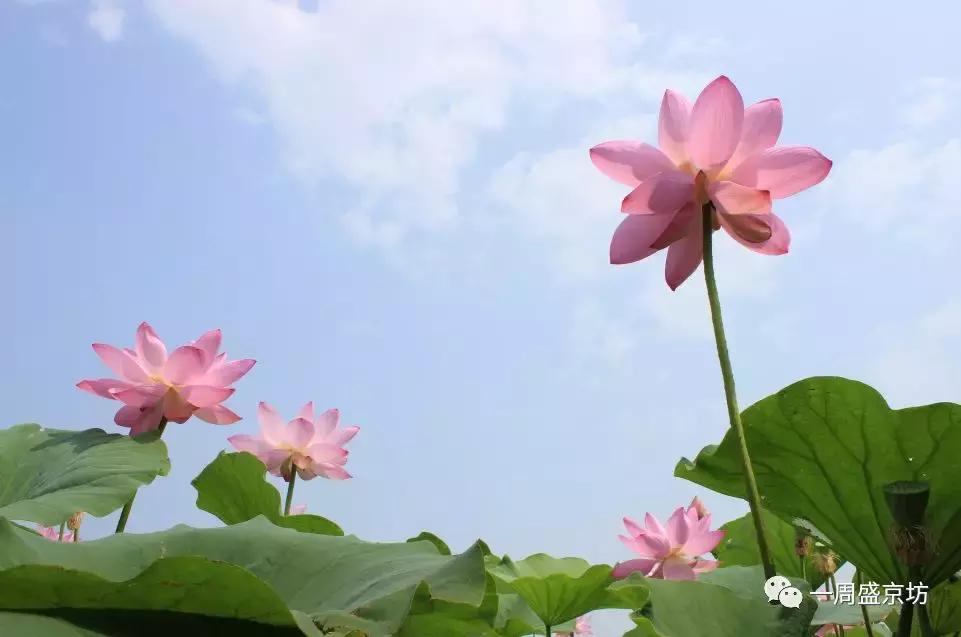 沈阳楼市销量前三甲，这些版块都有哪些优势？