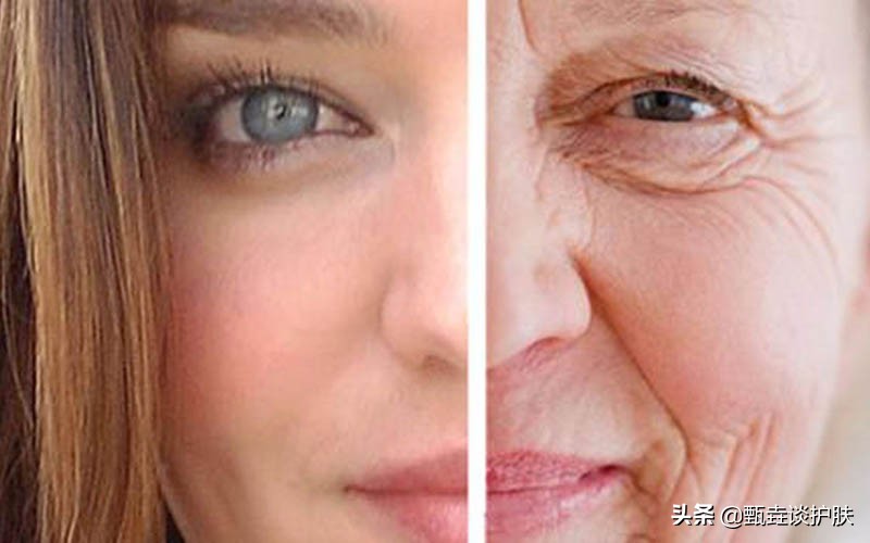 抗老化成分,抗皱抗老化的成分