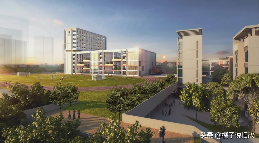 广西龙岗大礼包,龙岗街道新建公办学校