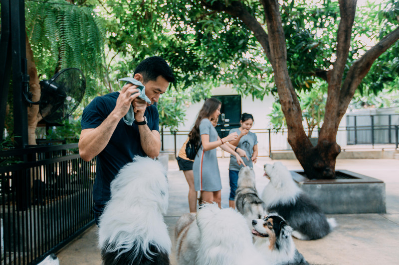 多次曼谷,整理了这份美食攻略,曼谷怎么吃?快戳进来