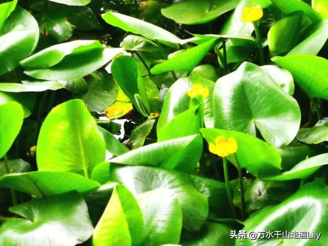 杭州不为人知的世外桃源,杭州幽静的去处