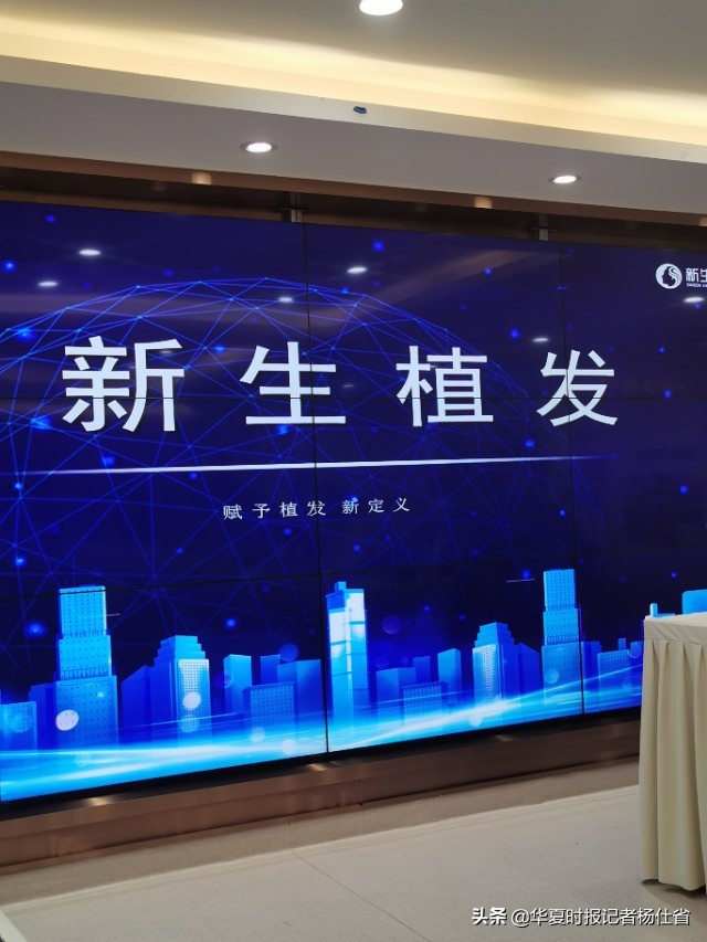 新生集团有限公司,新生植发集团最新进展