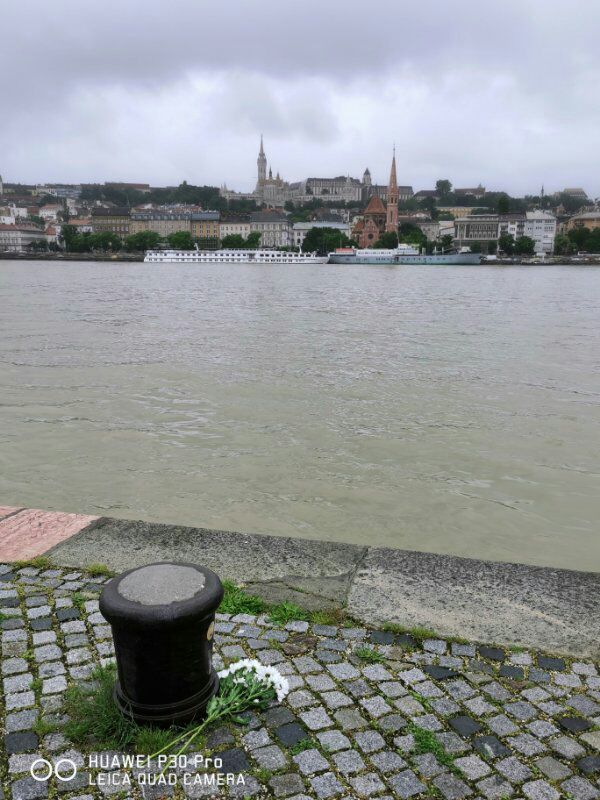 匈牙利的首都,当年陈强曾到此,两个儿子取名“布达”“佩斯”