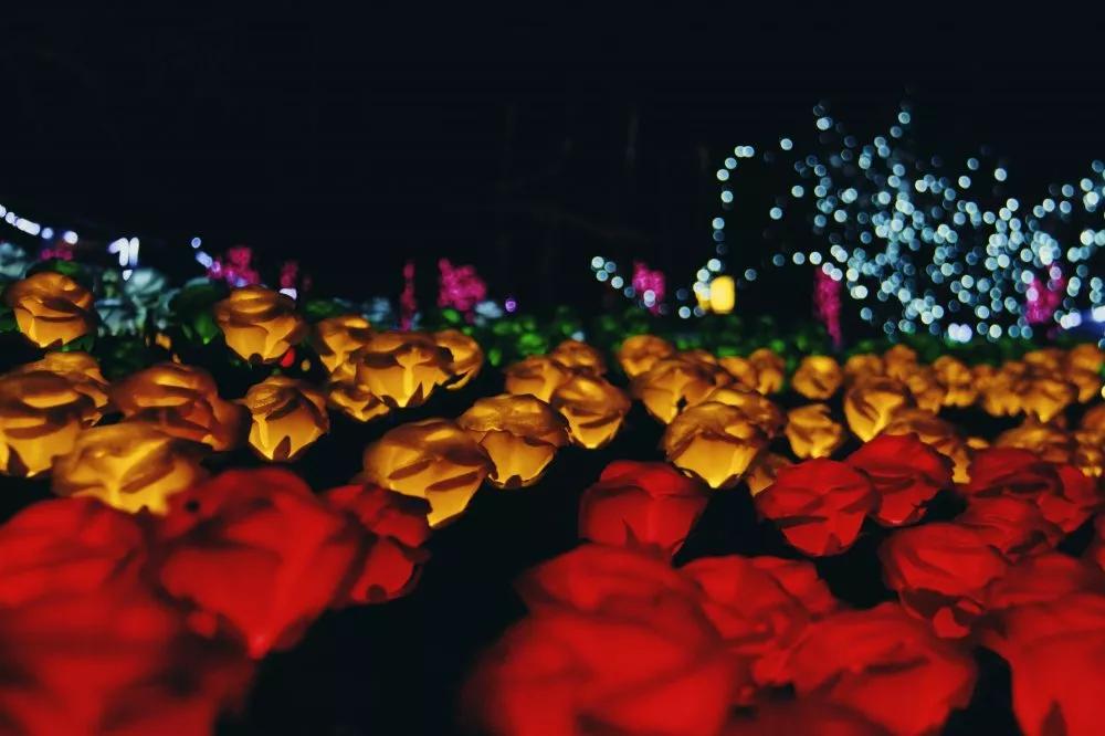 延吉国际冰雪旅游节,延吉国际冰雪节2022