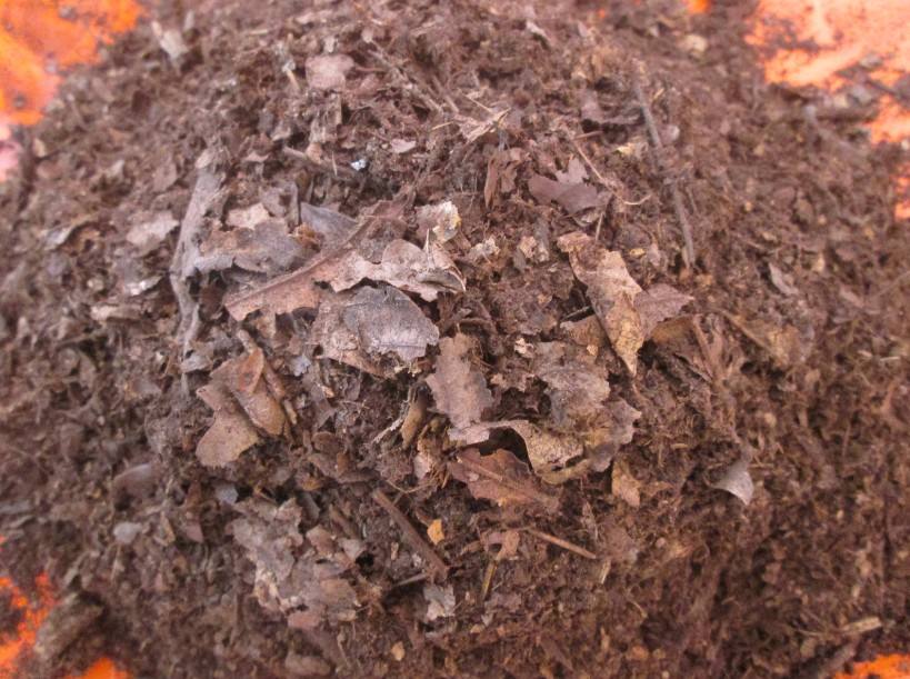 营养土怎么养又干净又透气,也可以种菜的通用营养土