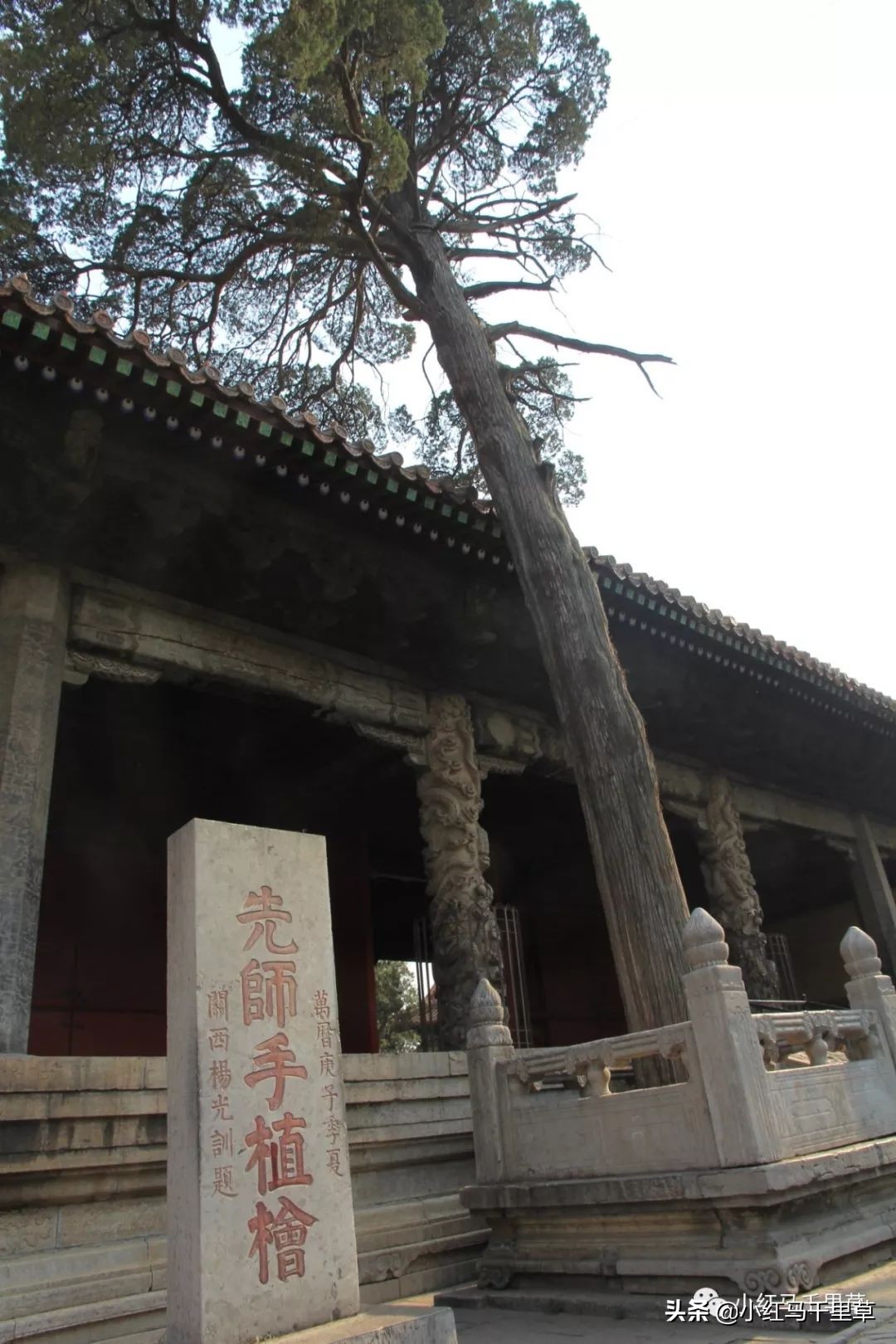 曲阜孔府孔庙孔林历史背景,曲阜孔府孔庙孔林一游