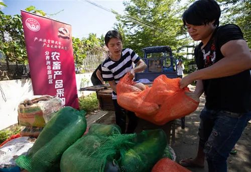 农村致富的10个门路,农村山沟适合做什么生意