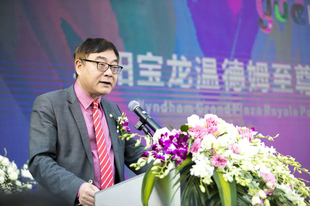 阜阳温德姆至尊豪廷大酒店航拍,阜阳宝龙温德姆至尊豪廷大酒店