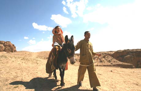 法证先锋第四季评分,法证先锋4真实评价