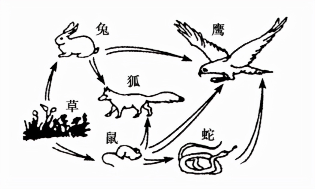 农村老人说不能杀蛇，难道说报纸上关于蛇报复人的报道，是真的？