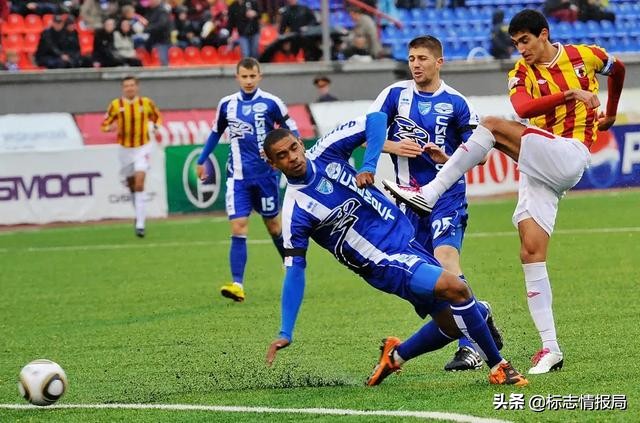 老鹰飞回鸟巢,老鹰又回来了吗