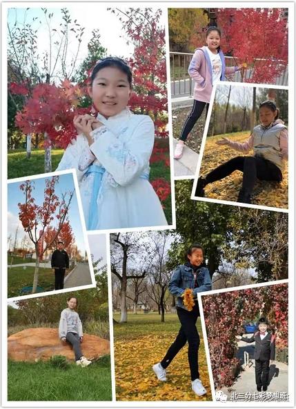 谱和谐之曲走奋进之路——延新一小五年级七班和谐团队申报专题