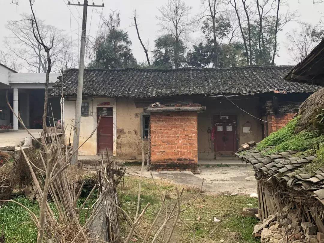 张扣扣案死刑复核裁定全文披露,张扣扣执行死刑前对家人说了什么