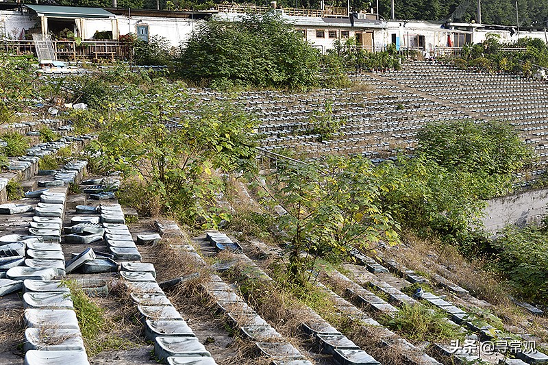 重庆力帆足球现状,重庆力帆足球场现状