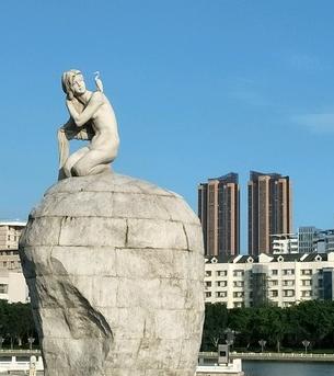 鸽群飞翔视频,鸽群飞翔