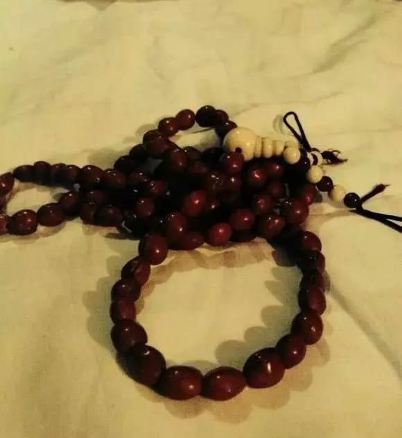 吃剩的水果核不要丢弃,吃剩的樱桃籽能种吗