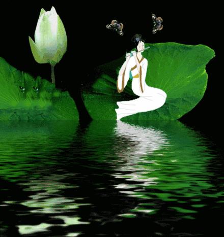 南飞雁古筝原唱,南飞雁答友人