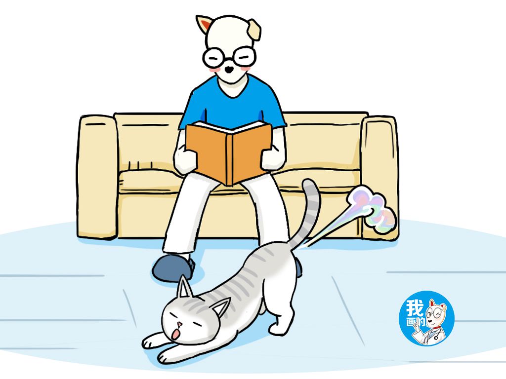 家中不明气体,家里出现不明气体