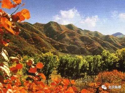 画说回龙观,北京最漂亮的森林公园