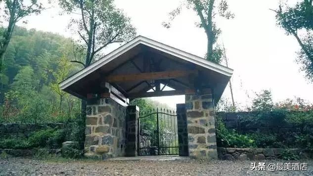 为一姑娘,10年他把30亩荒地打造成梦想家园,让人懂得真爱的意义