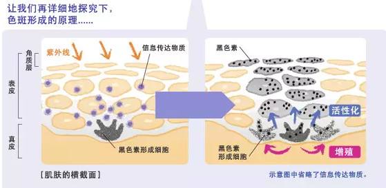 晒后起皮如何有效补水,晒伤干皮后如何修复