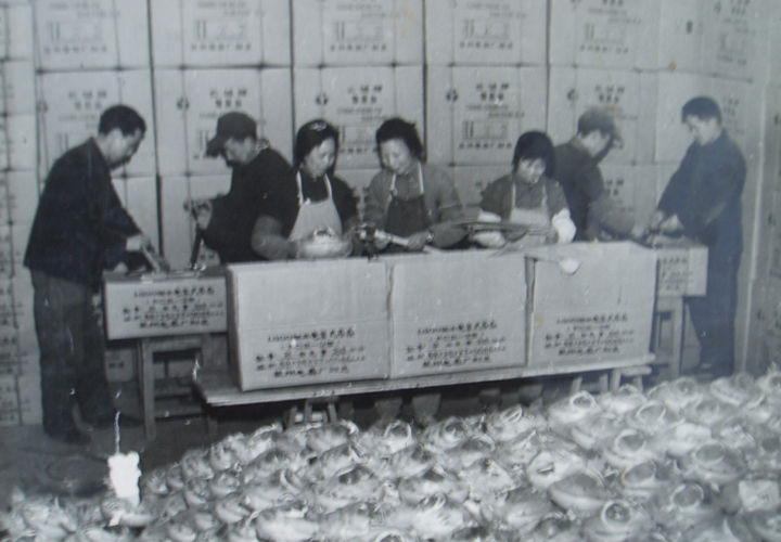 闻所未闻，冬天排队买苏州电扇总厂的长城电扇，为何有如此奇迹？