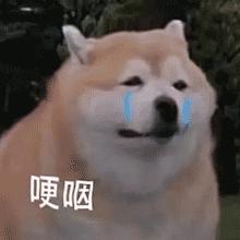 头皮长痘痘怎么办碰了痛,头皮长痘痘怎么办最有效的方法