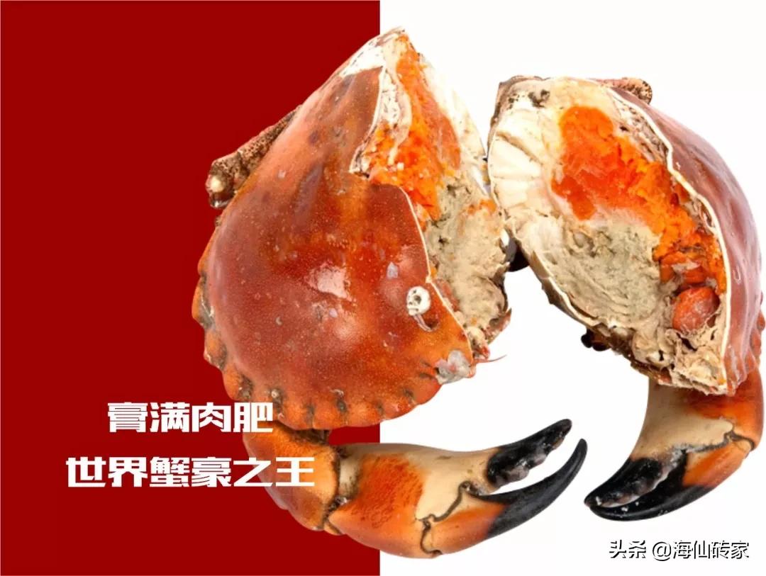 面包蟹和帝王蟹谁最厉害,面包蟹帝王蟹都是从哪里进口