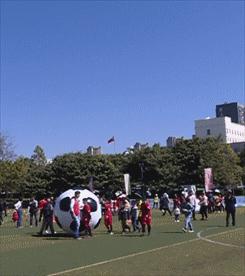 昆明弥勒人山人海,来弥勒玩人山人海