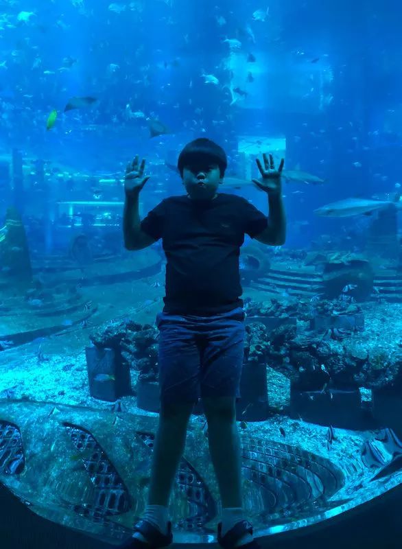 5天亚特兰蒂斯亲子游,带孩子亚特兰蒂斯游玩