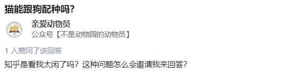 洗衣机里放什么可以去除猫毛,怎么用洗衣机洗掉衣服上的猫毛