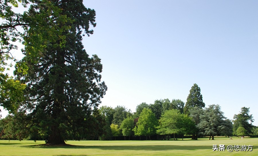 舍维尼城堡：追随丁丁探险的脚步