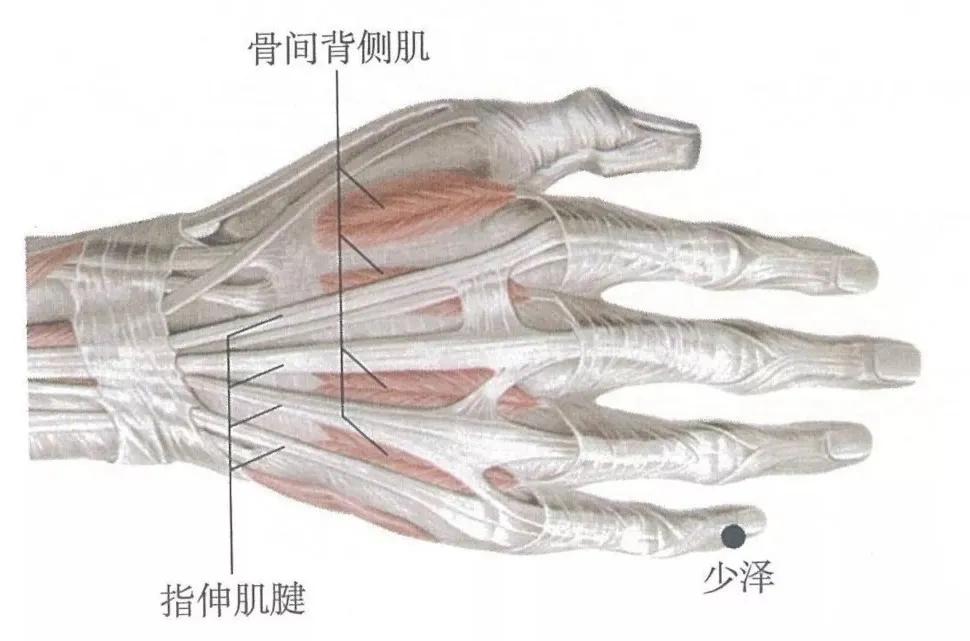 喂奶感觉到疼痛,产后乳腺炎可以喂奶吗