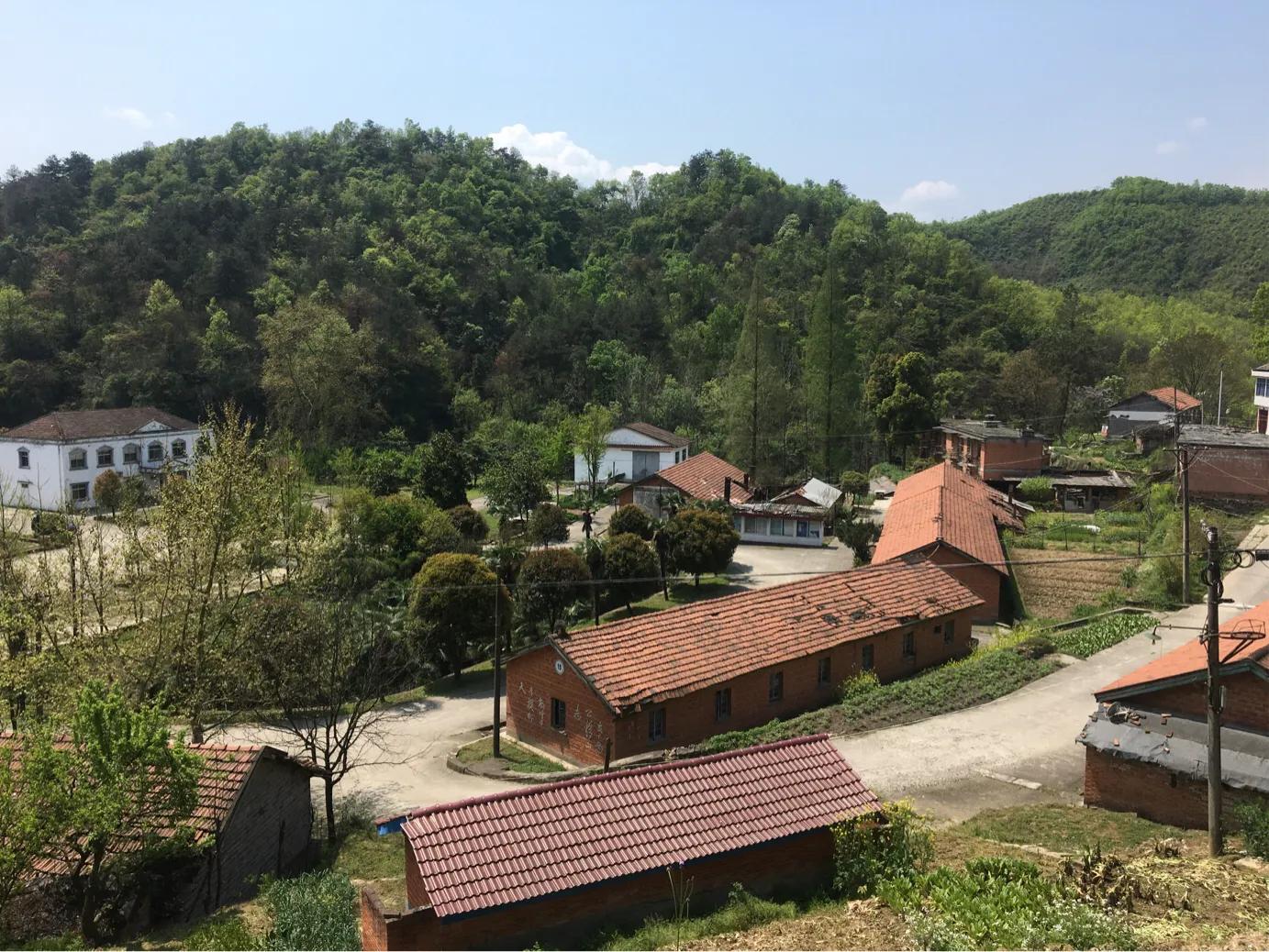 大山里三线厂旧址,谷城县今年有啥重大工程