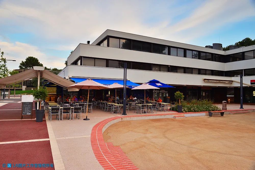 华高莱斯特点,华高莱斯是做什么的