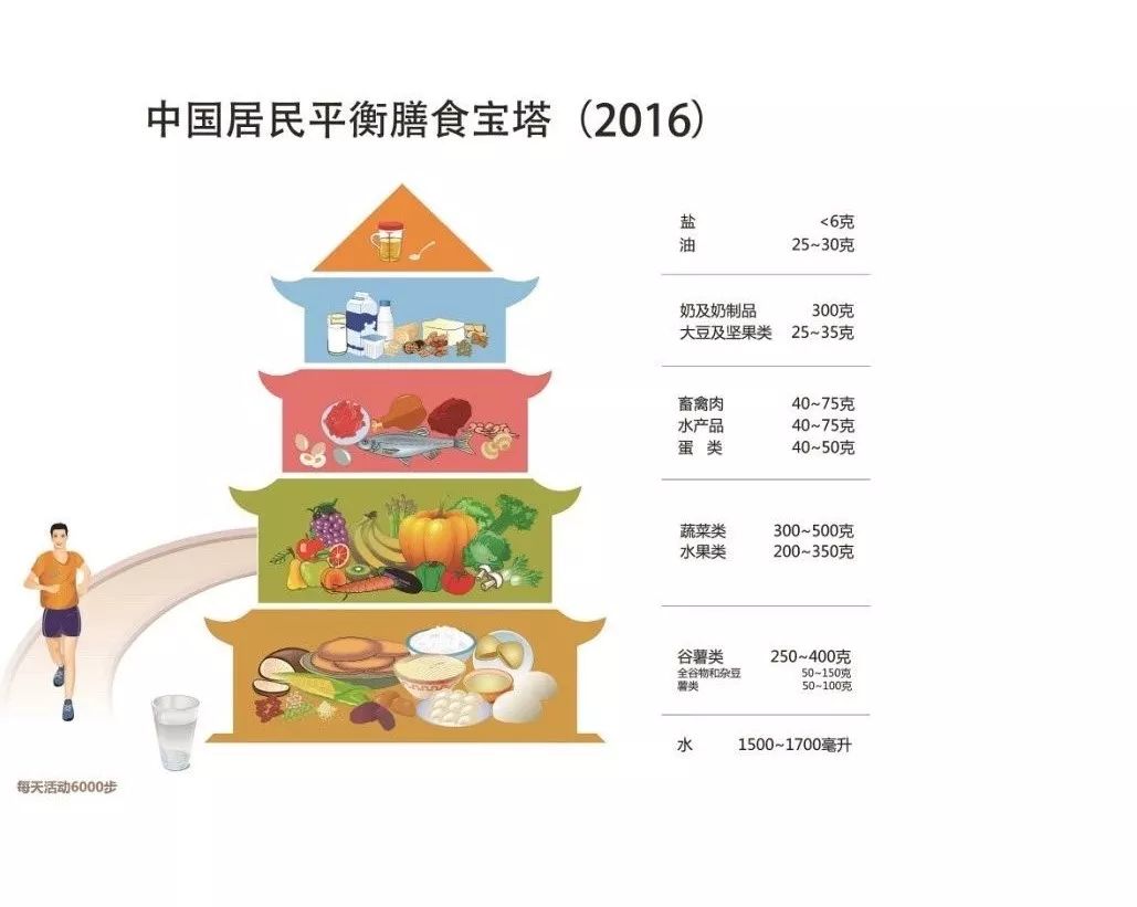 碳水化合物科普小知识,你必须要知道什么是碳水化合物