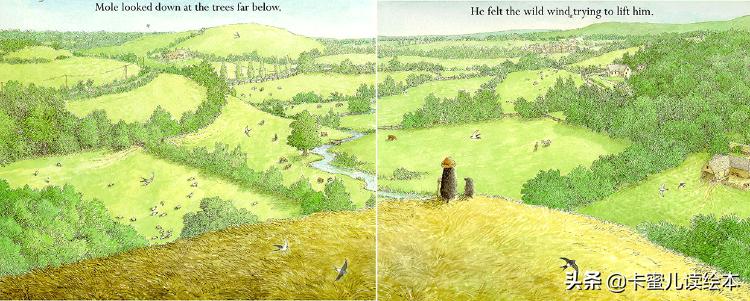 英文绘本动画故事完整版,英语绘本鼹鼠和小鸟