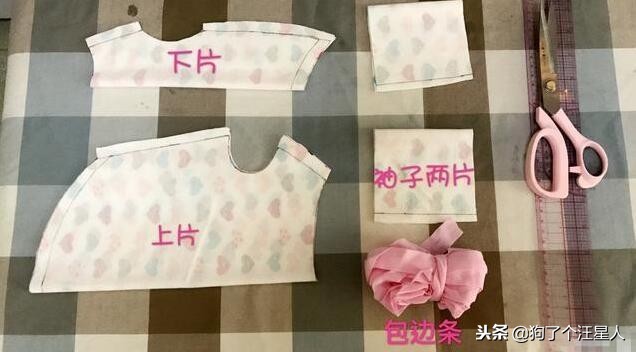 冬季养狗的最佳方法,自制养狗教程