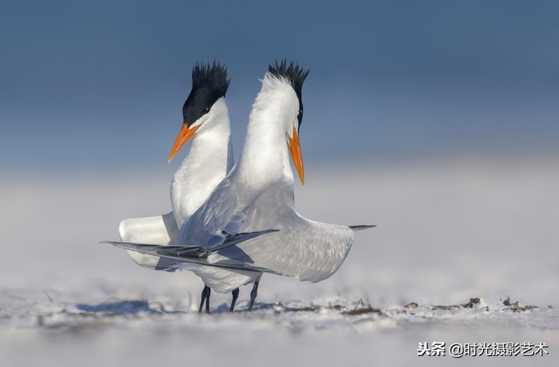 欣赏国际摄影大师作品,英国皇家天文摄影大赛