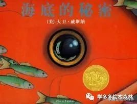 怎样正确读绘本,幼儿读绘本的正确步骤