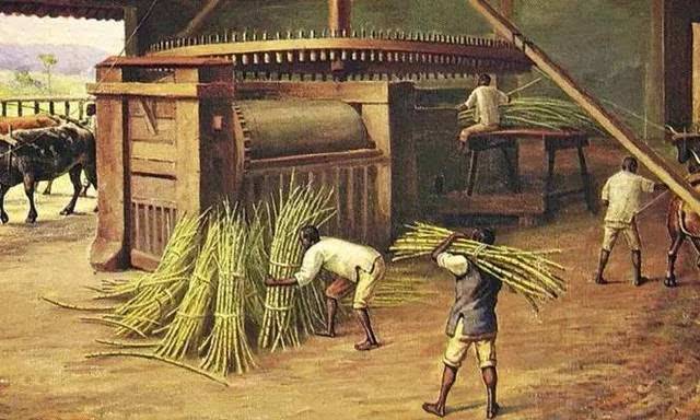 如何鉴赏朗姆酒,朗姆酒基本工艺