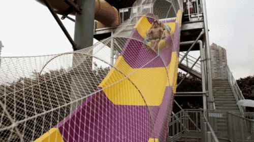 深圳市欢乐谷夜场门票团购预订,深圳欢乐谷99元门票抢购