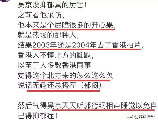 吴京电影宝藏,吴京演了无价之宝吗