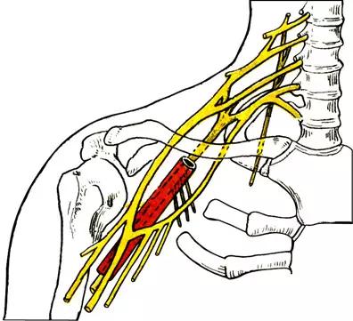 颈椎腰椎疾病ct及mri诊断,腰椎ct可以发现肠部病变吗
