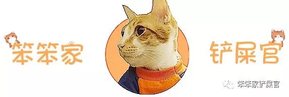 猫咪洗澡后不冷发抖,给猫咪洗澡猫咪疯狂挣扎