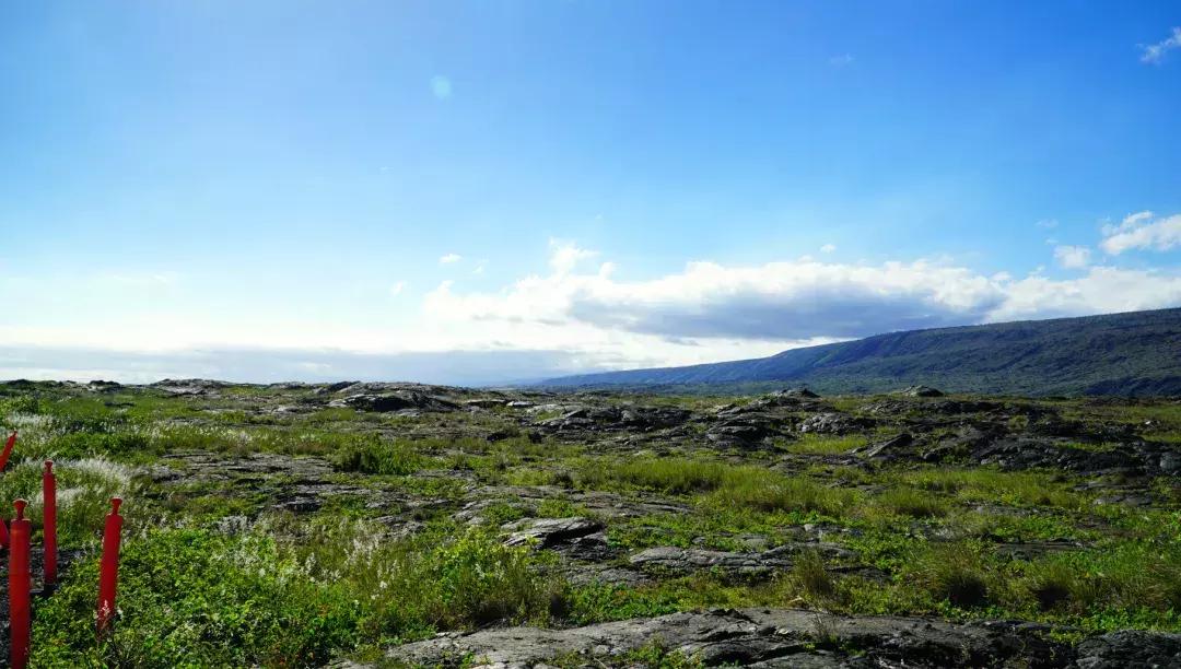 夏威夷大岛自驾游游记,大岛夏威夷岛七日游