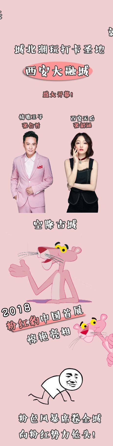 张韶涵张信哲最新综艺,张韶涵张信哲演唱会图文